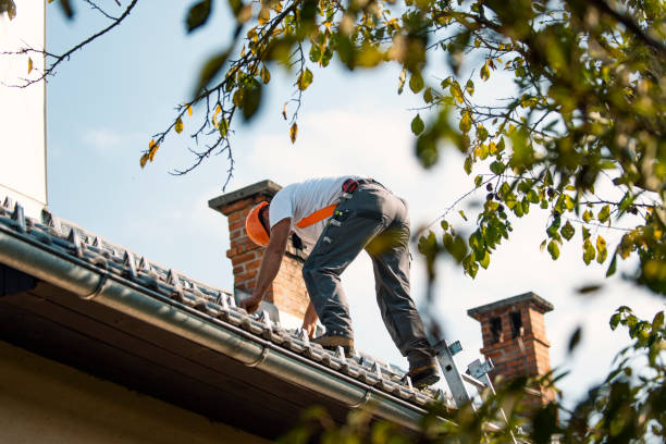 Best Flat Roof Repair Services  in Lawrenceville, NJ
